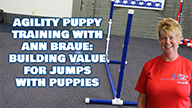 Agility Puppy Training with Ann Braue: Building Value for Jumps with Puppies