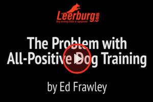 The Problem with All-Positive Dog Training