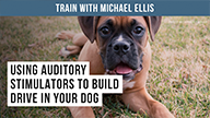 Using Auditory Stimulators to Build Drive in Your Dog - with Michael Ellis