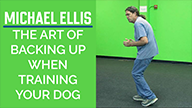 Michael Ellis on the Art of Backing Up When Training Your Dog