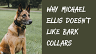 Why Michael Ellis Doesnt Like Bark Collars