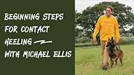 Beginning Steps For Contact Heeling with Michael Ellis