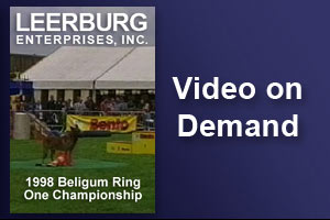 1998 Belgium Ring One Championship Preview