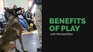 Benefits of Play with Michael Ellis