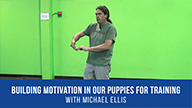 Building Motivation in Our Training For Our Puppies with Michael Ellis
