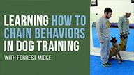 Forrest Micke on Learning How to Chain Behaviors in Dog Training