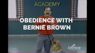 Obedience with Bernie Brown