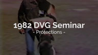 1982 DVG Seminar Protections