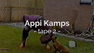 Appi Kamps Tape 2