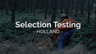 Selection Testing Holland Mass 2 Obedience Protections