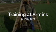 Training at Armins Puppy Test