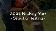 2001 Nickey Yoe Selection Testing
