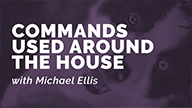 Commands Used Around the House with Michael Ellis