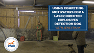 Using Competing Motivators For a Laser Directed Explosives Detection Dog