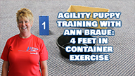 Puppy Training with Ann Braue: 4 Feet in Container Exercise