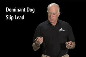 Dominant Dog Slip Lead Commercial