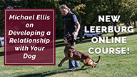 New Online Course - Michael Ellis on Developing a Relationship with Your Dog