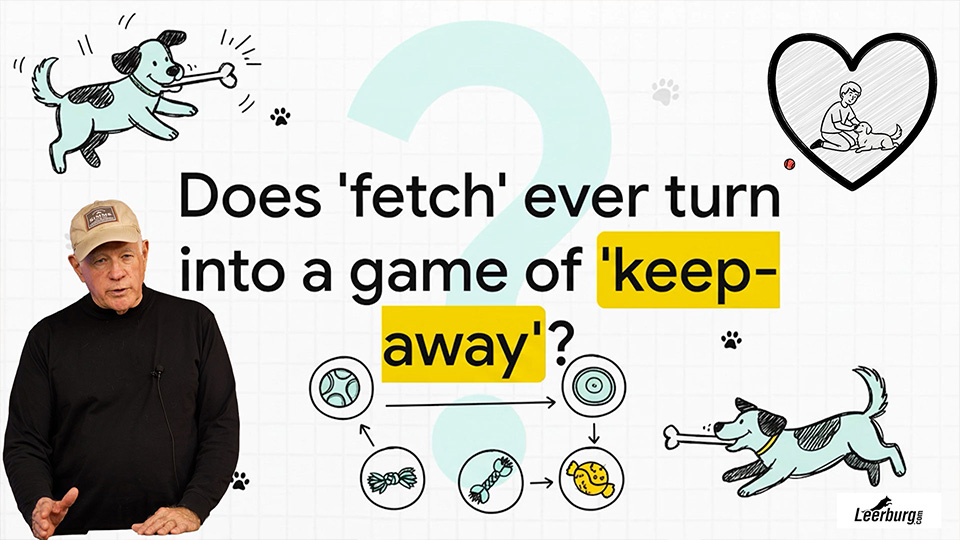 5 Rules of Playing Tug with Your Dog