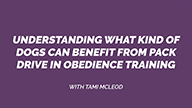 Understanding What Kind of Dogs Can Benefit From Pack Drive in Obedience Training with Tami McLeod