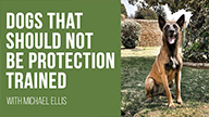 Michael Ellis on Dogs that Should Not be Protection Trained