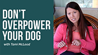 Play Technique: Dont Overpower Your Dog with Tami McLeod
