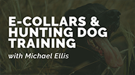 E-Collars & Hunting Dog Training with Michael Ellis