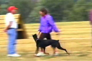Cindy and Elka in the 1991 Mid-Central Regional Schutzhund Championships