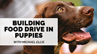 Michael Ellis on Building Food Drive in Puppies