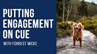 Forrest Micke on Putting Engagement on Cue