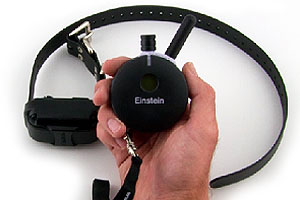 Educator ET800 Remote Dog Trainer with Light 