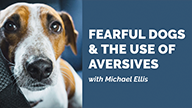 Fearful Dogs and the Use of Aversives