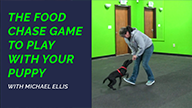 The Food Chase Game To Play With Your Puppy with Michael Ellis