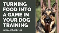 Turning Food into a Game in Your Dog Training with Michael Ellis