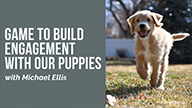 Game to Build Engagement With Our Puppies with Michael Ellis