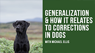 Michael Ellis on Generalization and How it Relates to Corrections in Dogs