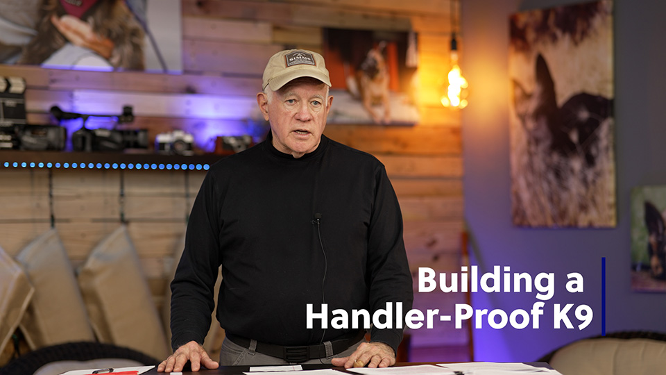 Building a Handler Proof Detection K9