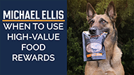 Michael Ellis on When to Use High-Value Food Rewards