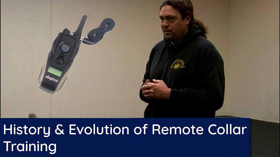 History and Evolution of Remote Collar Purpose 