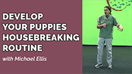 Develop Your Puppies Housebreaking Routine - with Michael Ellis