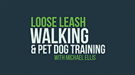 Loose Leash Walking and Pet Dog Training with Michael Ellis