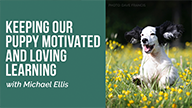 Michael Ellis on Keeping Your Puppy Motivated and Loving Learning