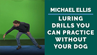 Michael Ellis on Luring Drills You Can Practice Without Your Dog