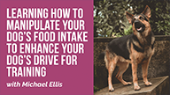 Learning How to Manipulate Your Dog’s Food Intake to Enhance Your Dog’s Drive for Training with Michael Ellis