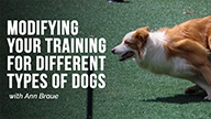 Modifying Your Agility Training for Different Types of Dogs with Ann Braue