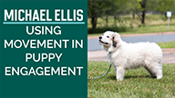 Michael Ellis on Using Movement in Puppy Engagement