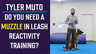 Tyler Muto on Do You Need a Muzzle in Leash Reactivity Training?