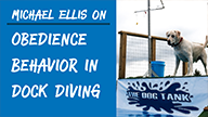 Michael Ellis on Obedience Behavior in Dock Diving