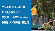 Obedience as it Pertains to Dock Diving with Michael Ellis