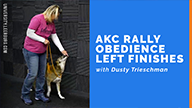 AKC Rally Obedience Left Finishes with Dusty Trieschman