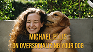 Michael Ellis on Oversocializing Your Dog